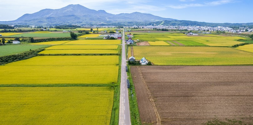 農地_相続税